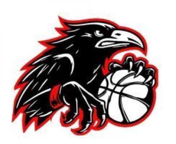 THEESEN RAVENS – Die Saison hat begonnen…