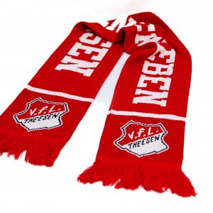 rot weißer Schal mit Theesen Wappen, Theesen erleben